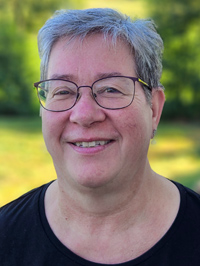 2017 schlauri roman